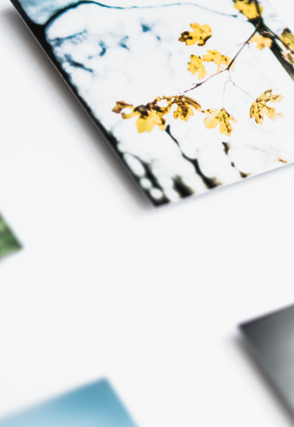 [ forty little squares ]