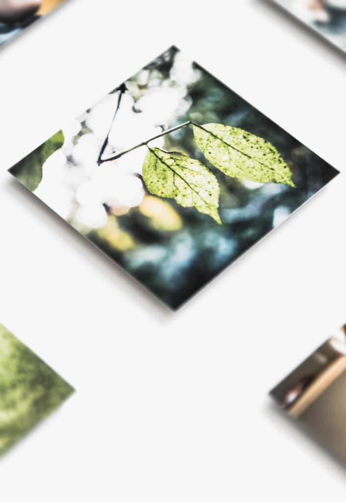 [ twenty four little squares ]